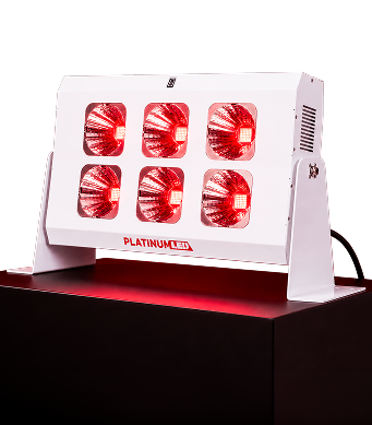 StudioMAX